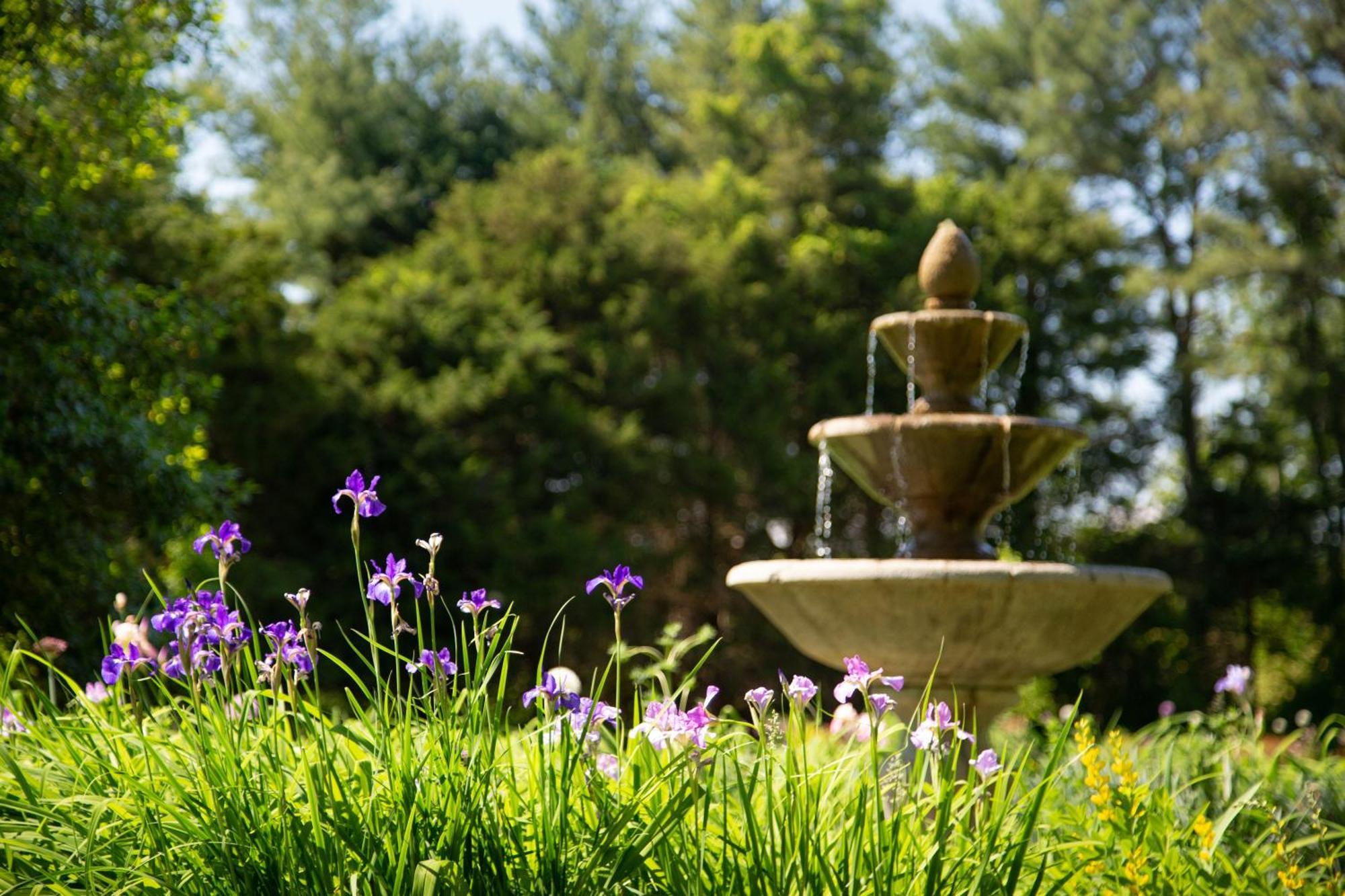 Bed and Breakfast Brampton 1860 Chestertown Exteriér fotografie